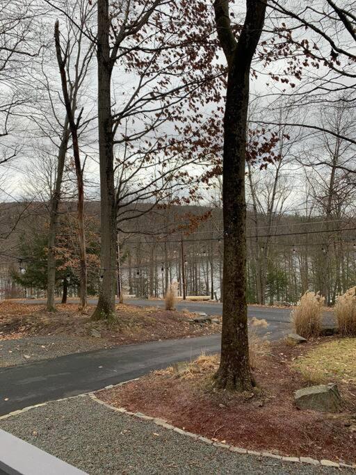 Lake Access With A View! Lake Wallenpaupack . Villa Greentown Exterior photo